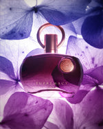 Afnan Supremacy Purple – Timeless Beauty & Charm
