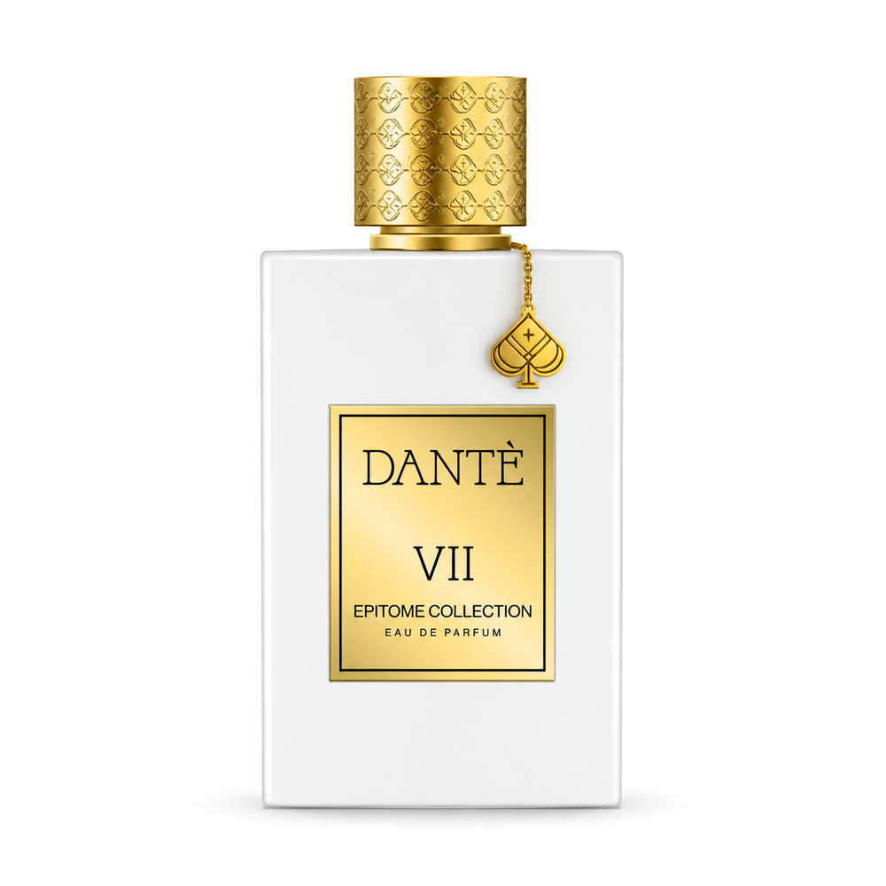 DANTE VII