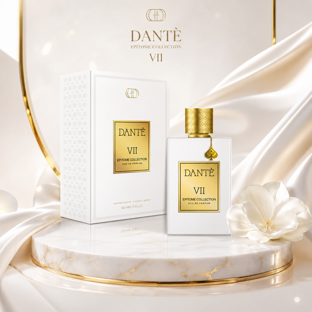 DANTE VII
