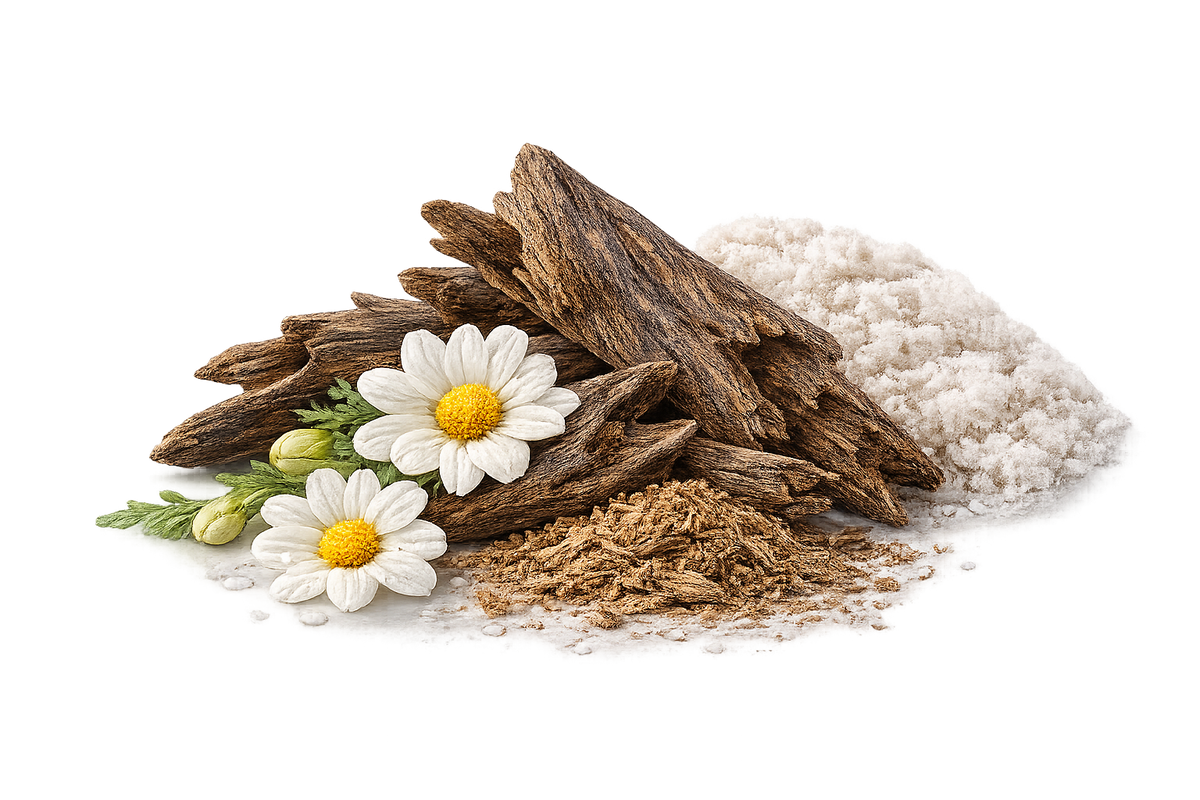 OUD MAKHA