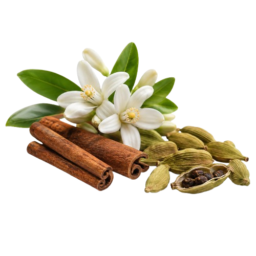 Sillage Privé Brune by Ayub perfume