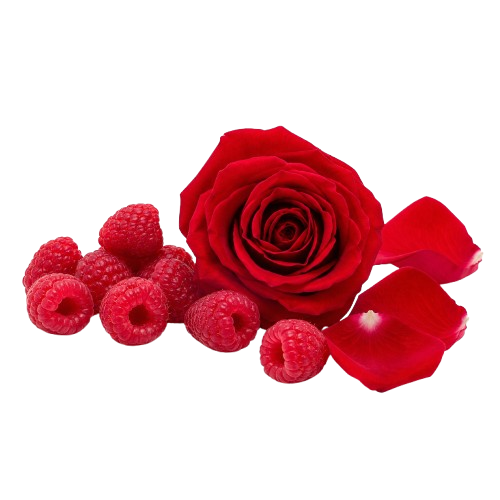 VELOURS NOIR by Ayub perfume