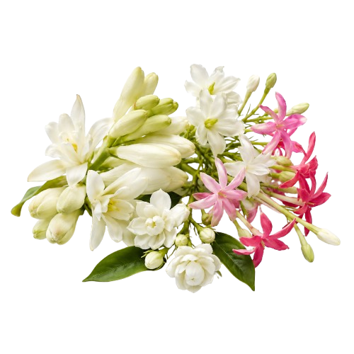Whispers of Bloom by Ayub perfume