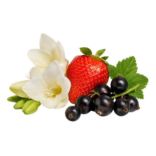 Nuha Vanilla Pearl by Khadlaj Perfumes