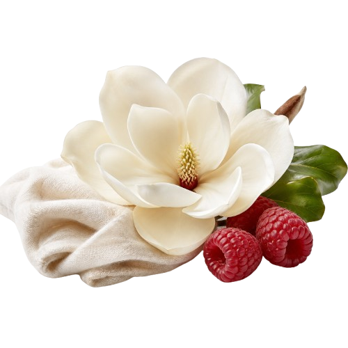 Nuha Vanilla Pearl by Khadlaj Perfumes