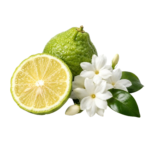 Fursan White 100 ML by Khadlaj Perfumes