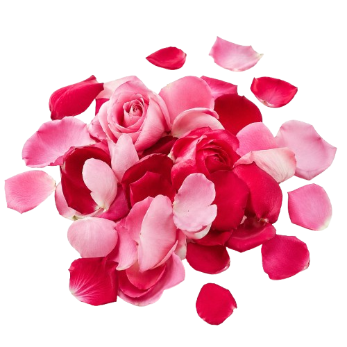 Desert Rose By Derby Perfumes