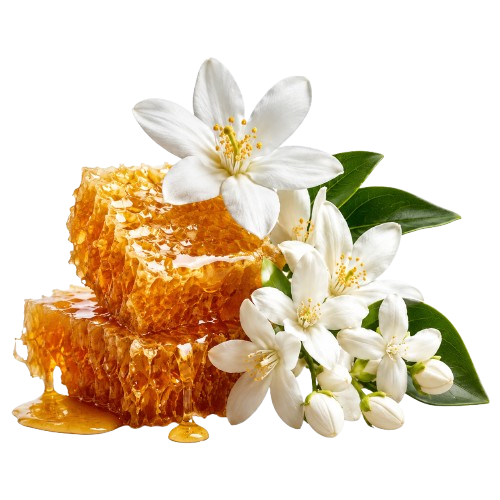DHIKRAYAT