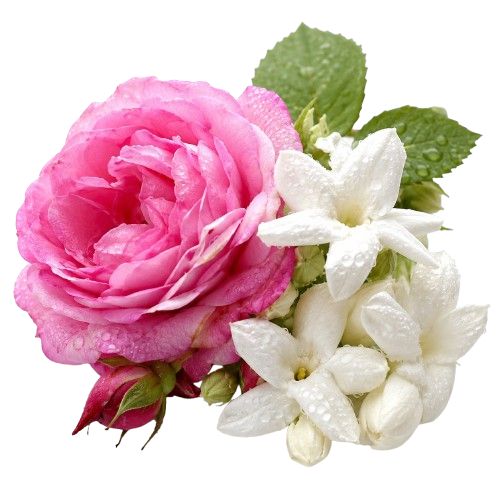 Dominant Cherry Eau de Parfum Inspired by Lost Cherry Scent