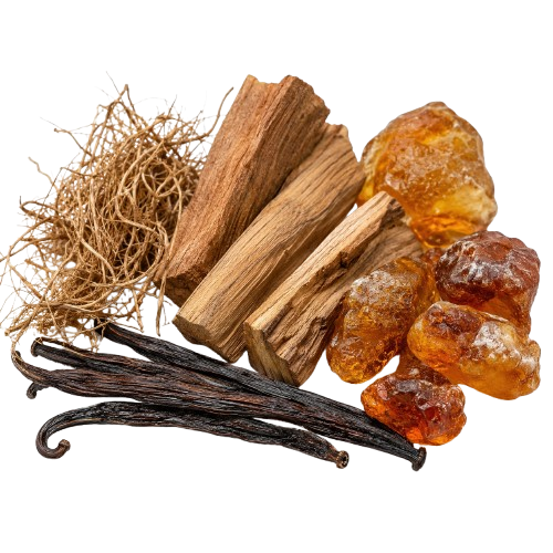 Jan London Big Cat Citrus Woody Men's Perfume Inspired by Tyger