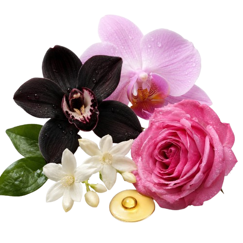 Suede Women's Floral Eau de Parfum Inspired by Velvet Orchid
