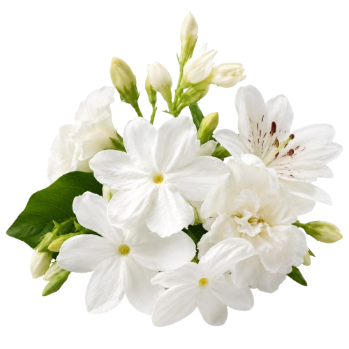 FLORA 78 by SILLAGE ARABIA