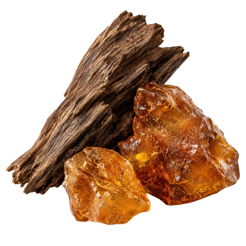 AMBER 61 By Sillage Arabia