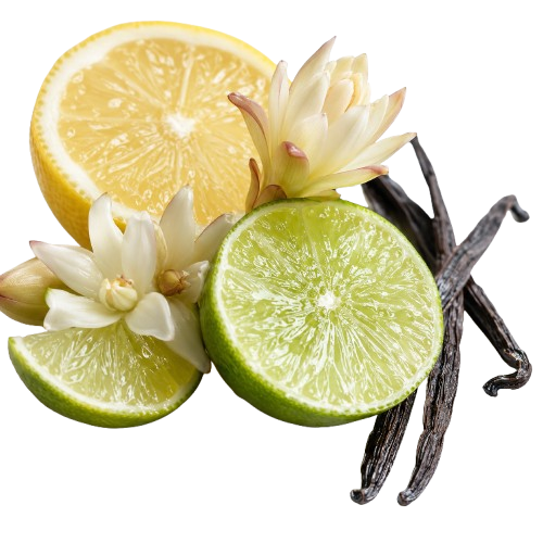 Fresh Ambrey Women's Eau de Parfum Inspired by Paco Rabanne Olympea