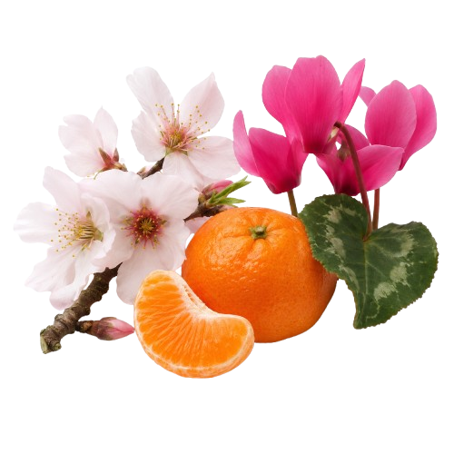 Jan London Moving Picture Floral Woody Women's EDP 50ml Spray