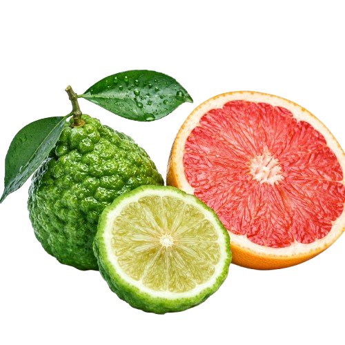 Nouvelle Maison Sophisticated Citrus and Spice Luxury Fragrance Spray