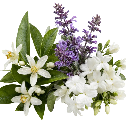 ماء عطر رايون دو لوميير فريش حمضي وزهري
