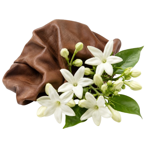 Digne Deloges Luxury Cardamom and Leather Eau de Parfum Fragrance