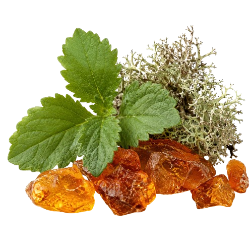 Digne Deloges Luxury Cardamom and Leather Eau de Parfum Fragrance