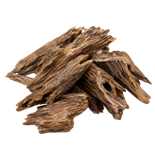 SHAY OUDH inspired by Shay Oud — Anfasic
