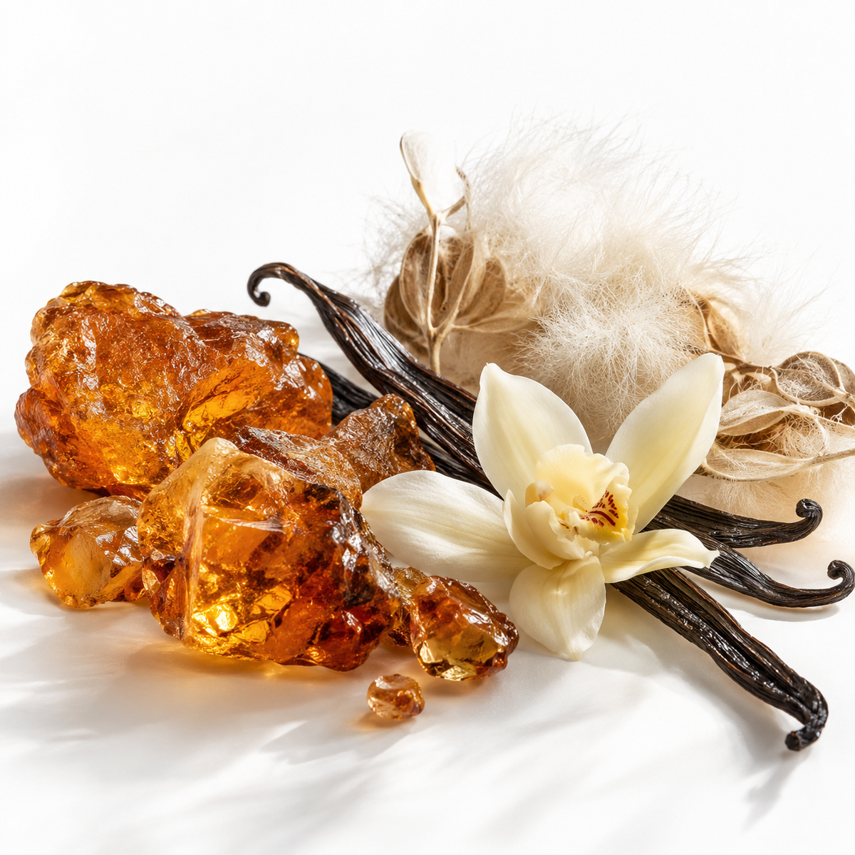 ORNAMENT POUR FEMME - Fruity -  Amber -  Floral
