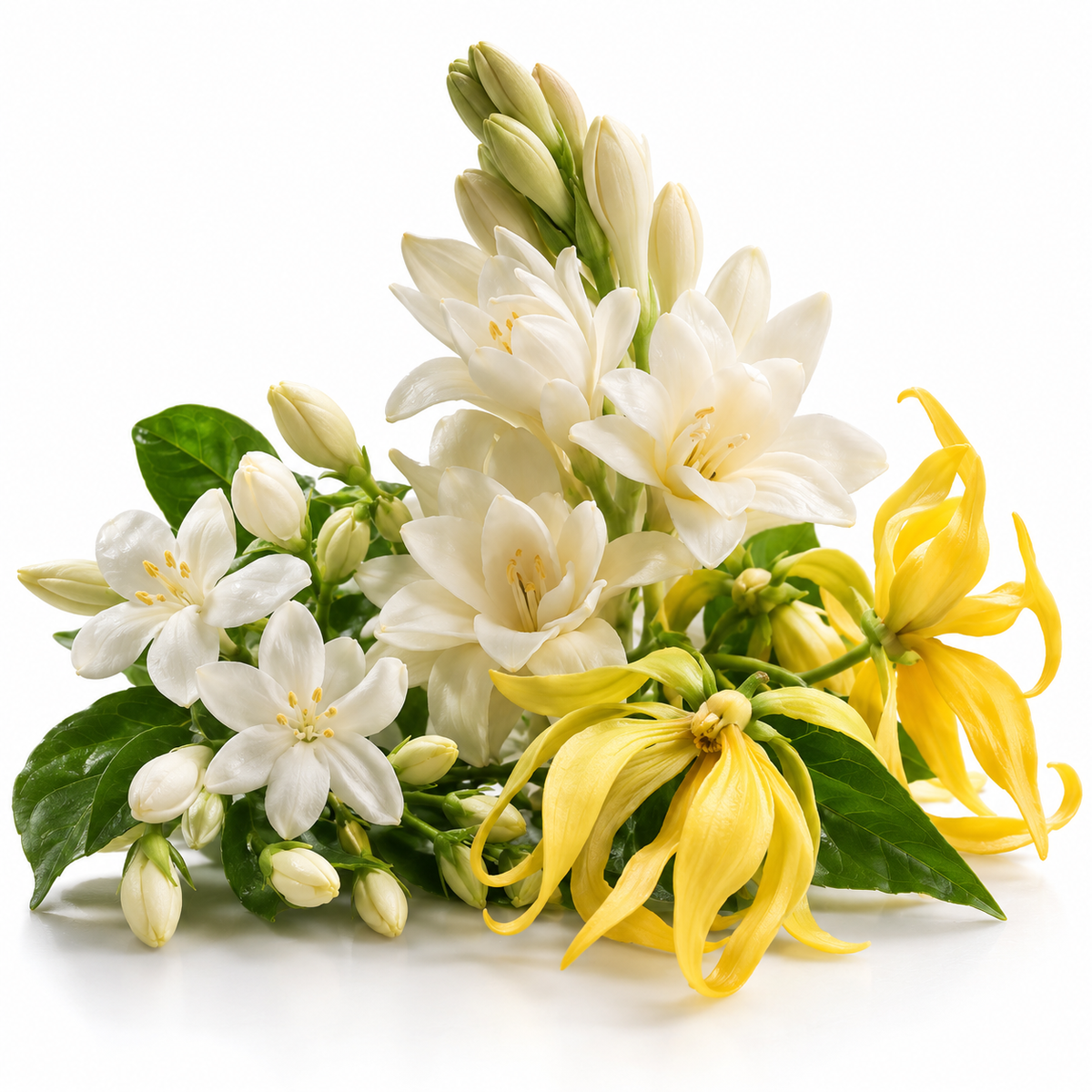 PARIS ROYALE BLOSSOM GOLD