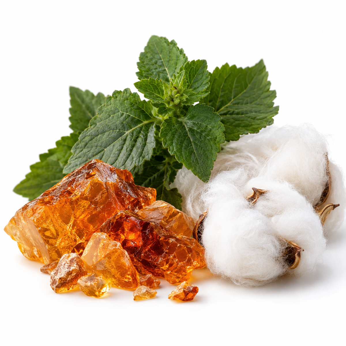 HIGHNESS V - Amber - Floral - 100ml