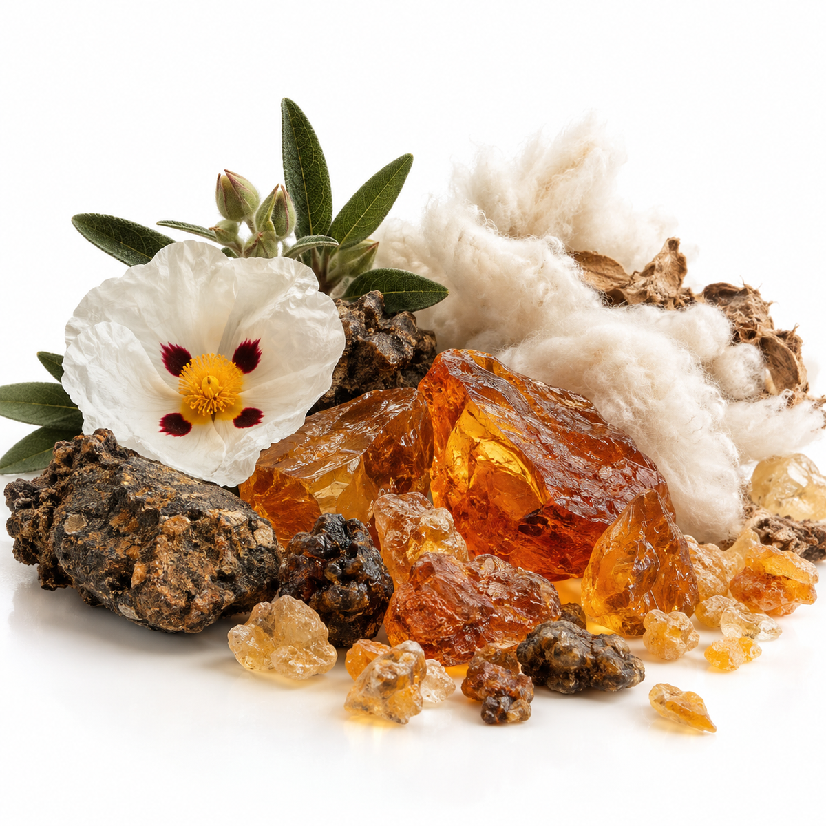 Arwa Perfume – Enchanting Beauty, Grace & Timeless Elegance