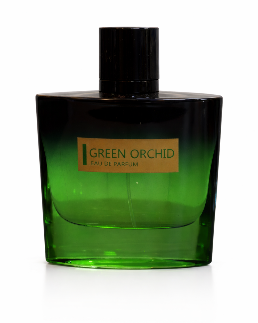 GREEN ORCHID