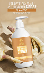Jan London Ginger Anti-Dandruff Shampoo for Dry Itchy Scalp