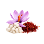 Hekayat Luminious