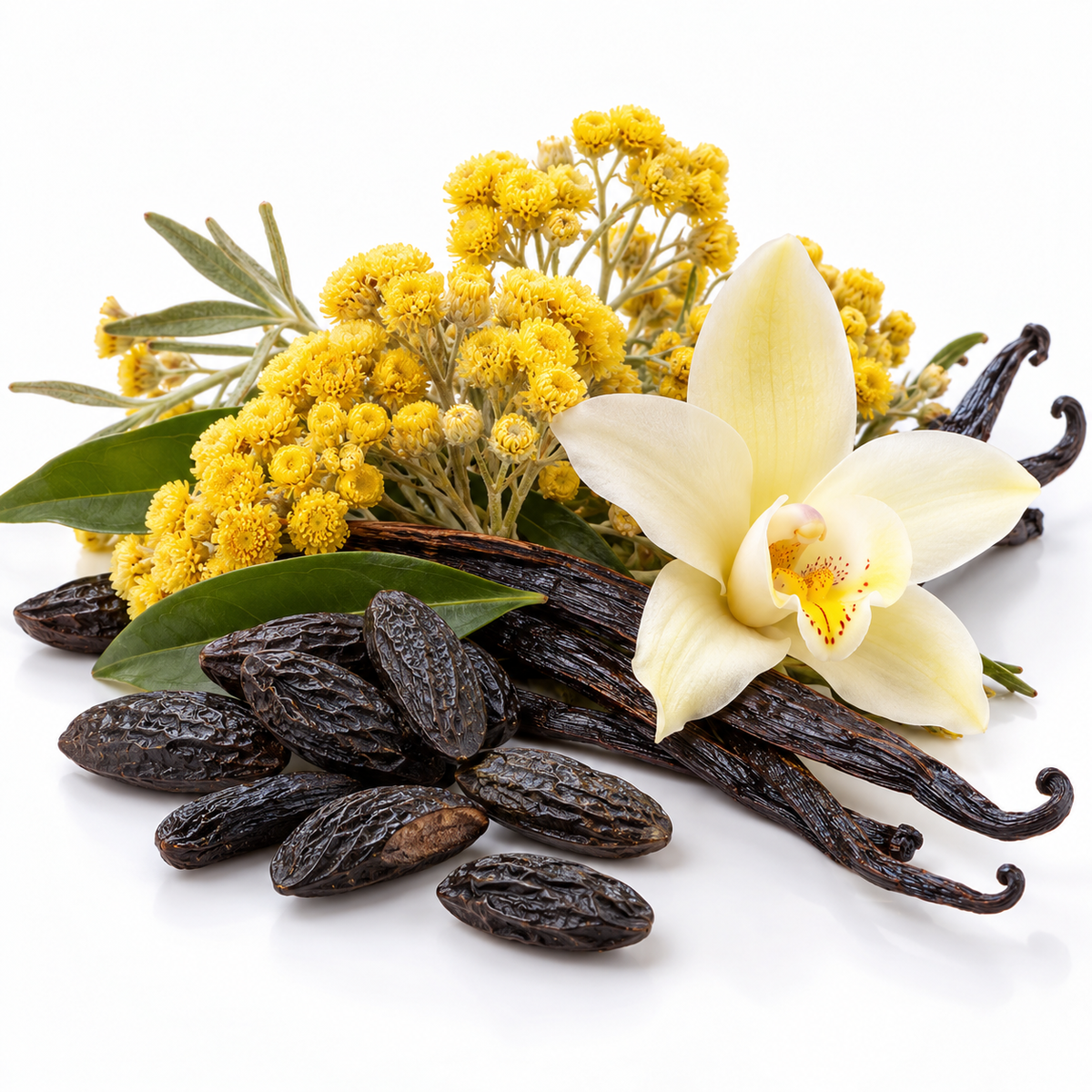 BEYOND Precious Luxury Perfume – LATTAFA