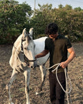 Tariq Ahmad