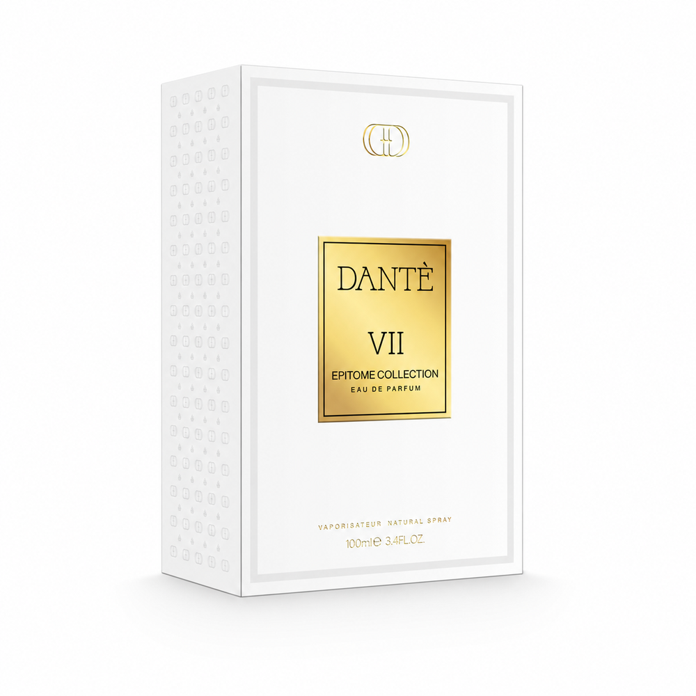 DANTE VII