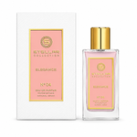 Elegance No. 04