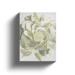 Musk & Roses by AHMAD AL MUGHRIBI